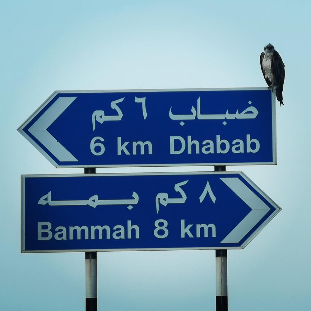 indoor signage in dubai by f15works